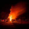 Beech Bonfire 1 © Steve Gregory 2014
