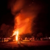 Beech Bonfire 2 © Steve Gregory 2014