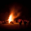 Beech Bonfire 3 © Steve Gregory 2014