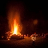 Beech Bonfire 4 © Steve Gregory 2014