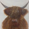 Angus (acrylic) © Annabel Young 2015