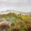 Dartmoor (watercolour) © Annabel Young 2015