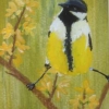 Great Tit (acrylic) © Annabel Young 2016