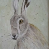 Hare (watercolour) 2017 by Annabel Young