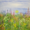 Summer Meadow © Annabel Young 2014