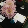 05 Three Dahlias