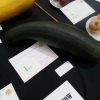 06 Marrow