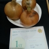 07 Three Onions