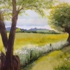 Summer Meadow (acrylic) © Sue Daines 2015