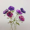 Anemones (acrylic) © Sue Daines 2015