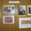 Photography - "In Action"