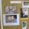 Photography - "Humerous Caption" The Winner - "Frogs - lost the soap"