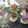 Floral Art - Arrangement in a Teacup