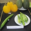 Vegetables - 3 Courgettes