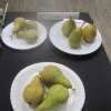 Fruit - 3 Pears