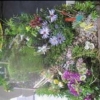 Floral Art - Adult - Miniature garden in a box or tray
