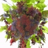 One of the window arrangements