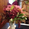 Ann's work