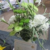 Floral Art - Single Colour Arrangement