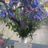 Floral Art - Single Colour Arrangement winner