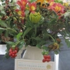 Floral Art - Autumn Jewels