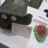 Children's Animal Picture/Creation winners
