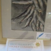 Painting - Still Life - Highly Commended Sally Cox's Sardines