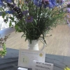Best Flower Decoration winner of the Polly Chiverton Cup