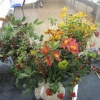 Floral Art - Augumn Jewels