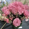 Single Colour Arrangement