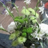 Single Colour Arrangement