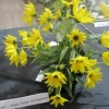 Single Colour Arrangement