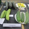 Three Courgettes