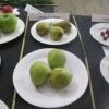 Group of three Pears