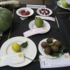 Best fruit in my garden today