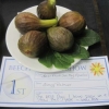 The winning figs