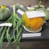 Best vegetable in my garden today