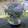 Floral Art - Arrangement in a Tea Cup