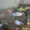 Sheila's Plant Stall outside