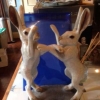 More hares in the kitchen