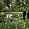 BGs by the pond