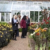 BGs admiring the Dahlias