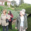 The BGs admiring the flowers