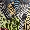 Zebras Crossing 2 (mixed media) © Sally Cox 2015