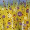 Fields of Gold © Sally Cox 2013