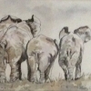 Homeward Bound © Sally Cox 2014