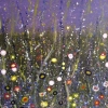 Night Garden © Sally Cox 2013