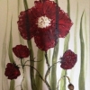 Poppies © Sally Cox 2013