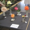 01 single rose exhibits