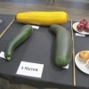 06 a marrow